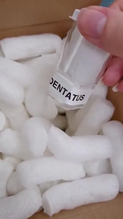Live Creature Spider Delivery