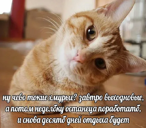 Завтра выходные, потом отдых
