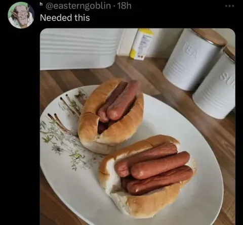 Needed This Hot Dog
