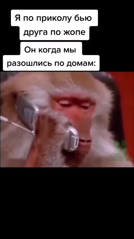 Обезьяна скучает после встречи