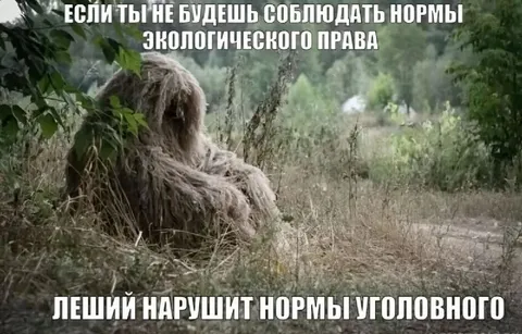 Леший нарушает нормы