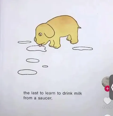 The Last Puppy Was Godzilla