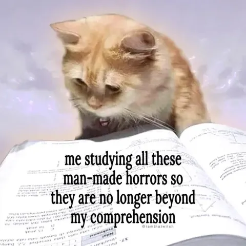 Cat Studying Human Horrors