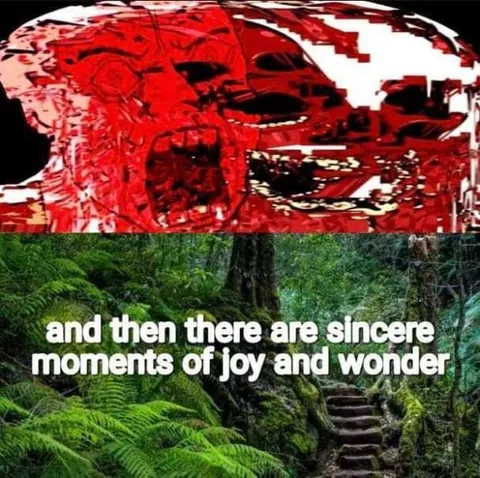 Sincere Moments of Joy and Wonder
