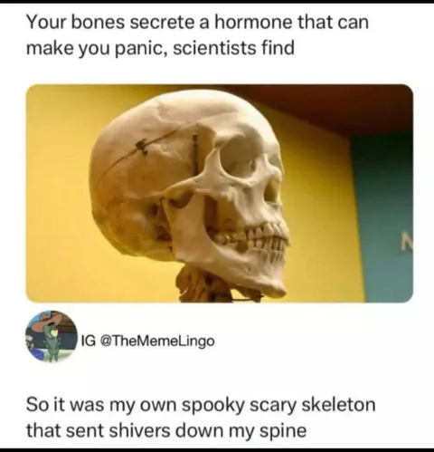 Spooky Skeleton Sends Shivers