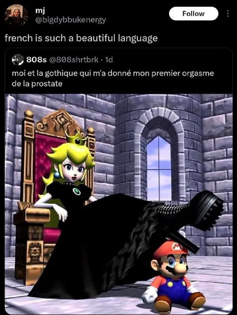 French Is a Beautiful Language