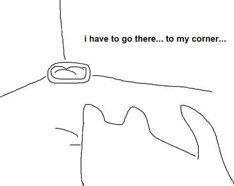 Cat Retreats to Its Corner