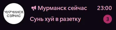 Сунь хуй в розетку