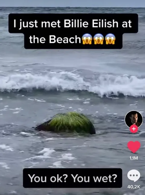 Billie Eilish at the Beach