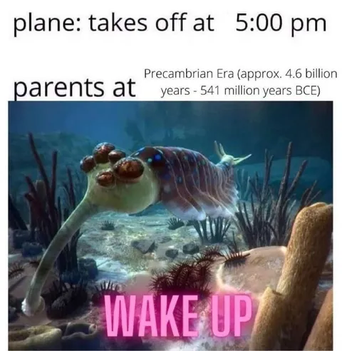 Parents Wake Up in Precambrian Era