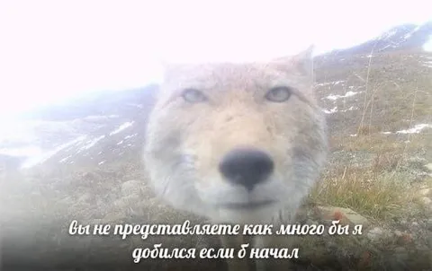 Если бы я начал