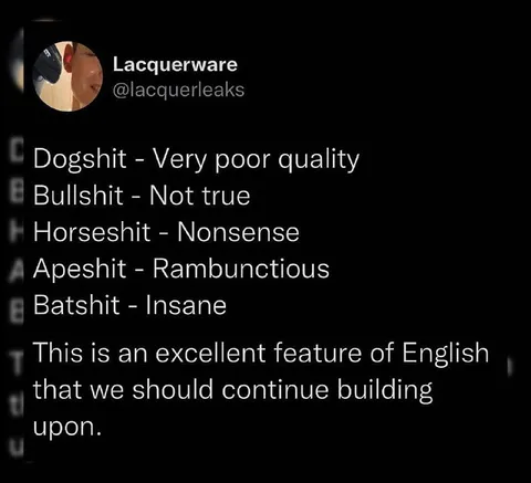 English Shit Word Definitions