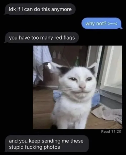 Too Many Red Flags Cat