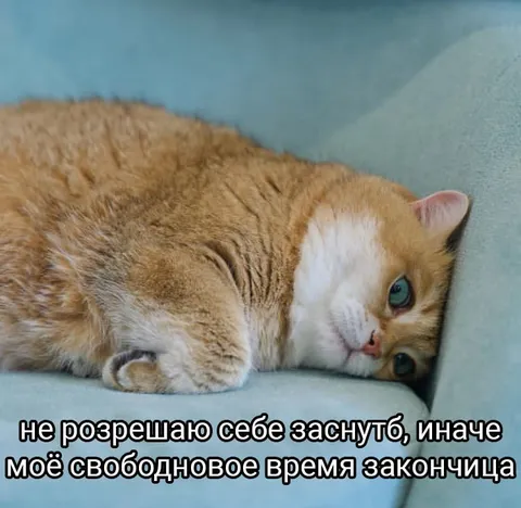 Свободное время закончилось