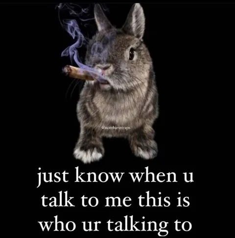 Smoking Rabbit Knows Who You Are