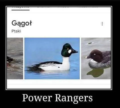 Gągot jako Power Rangers