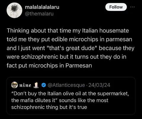 Edible Parmesan Microchips