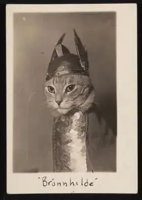 Brünnhilde die Wikingerkatze