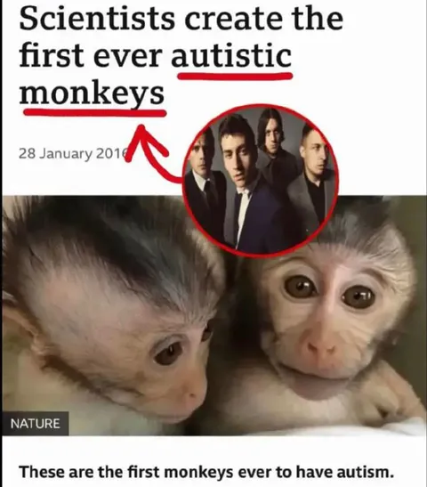 Autistic Monkeys News Joke