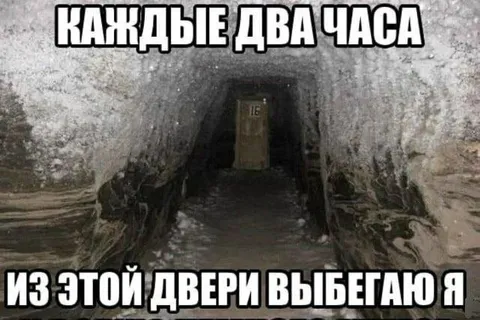 Каждые два часа из двери выбегаю я