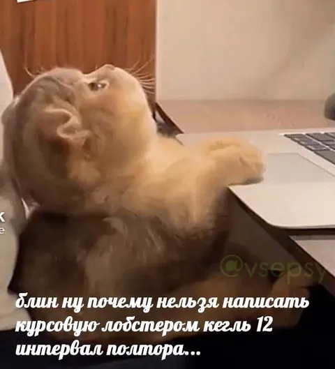 Курсовая лобстером, кегль 12
