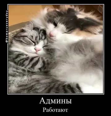 Админы работают