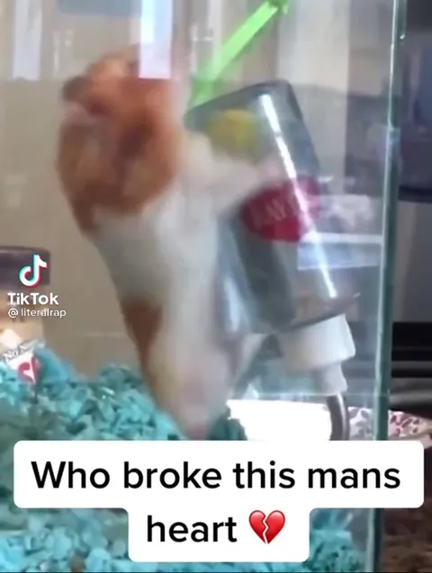 Who Broke This Man's Heart