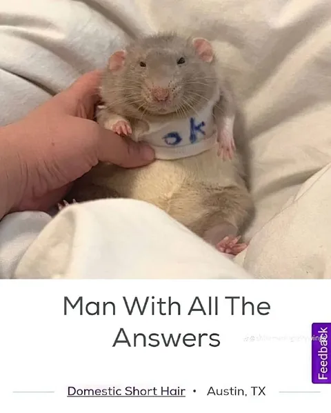 Man With All The Answers