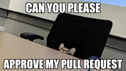 Cat Asks to Approve Pull Request