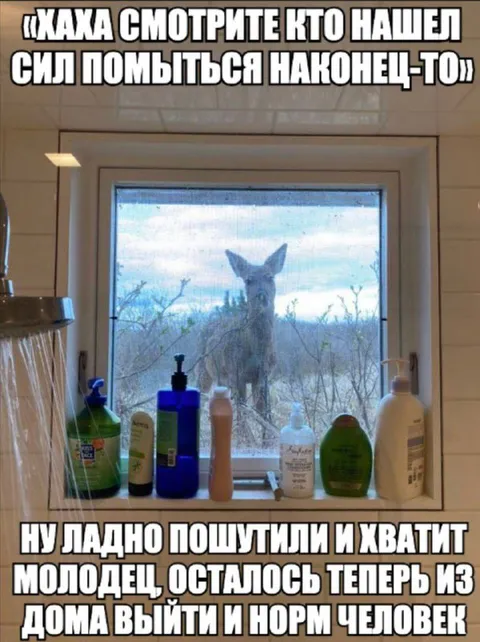 Олень наконец помылся