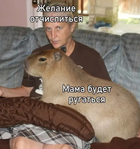 Желание отчислиться и мама