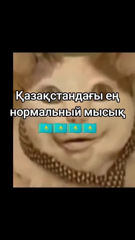 Қазақстандағы ең нормальный мысық