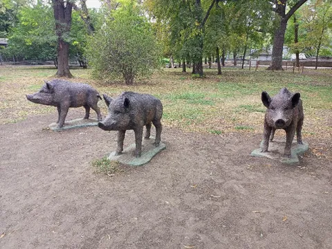Три кабана в парке