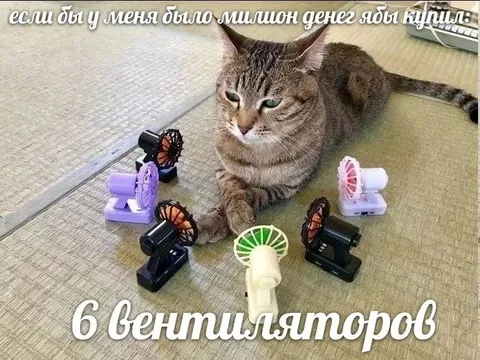 Кот купил шесть вентиляторов