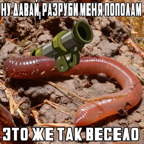 Разруби меня пополам