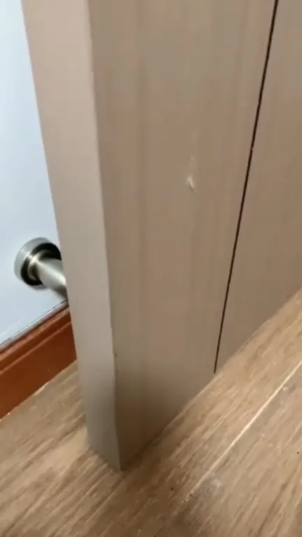 Котята за дверью