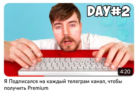 Подписался на каждый канал