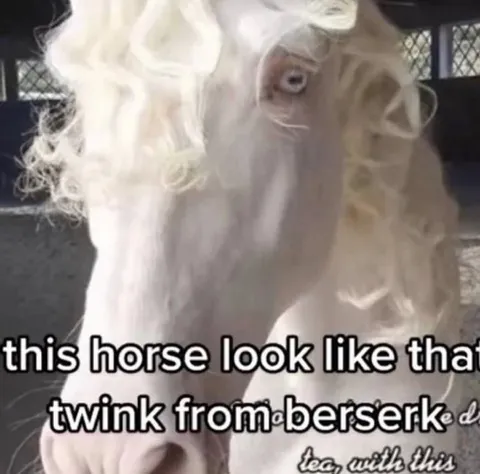 Horse Looks Like Berserk Twink