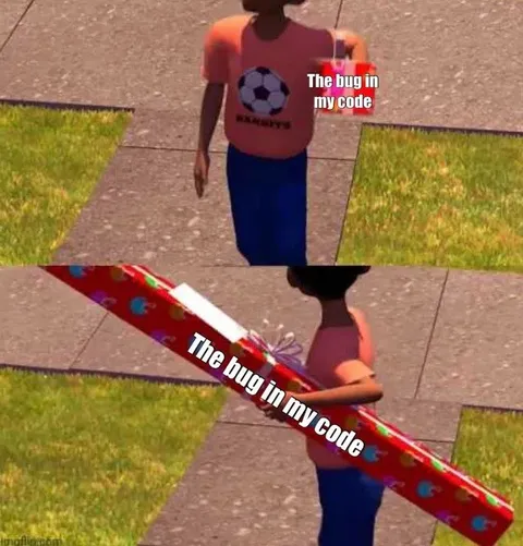 The Bug in My Code