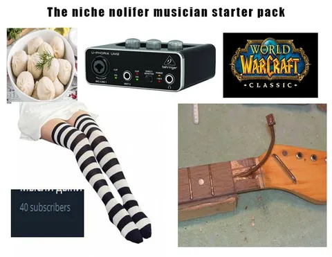 The niche nofiler musician starter pack