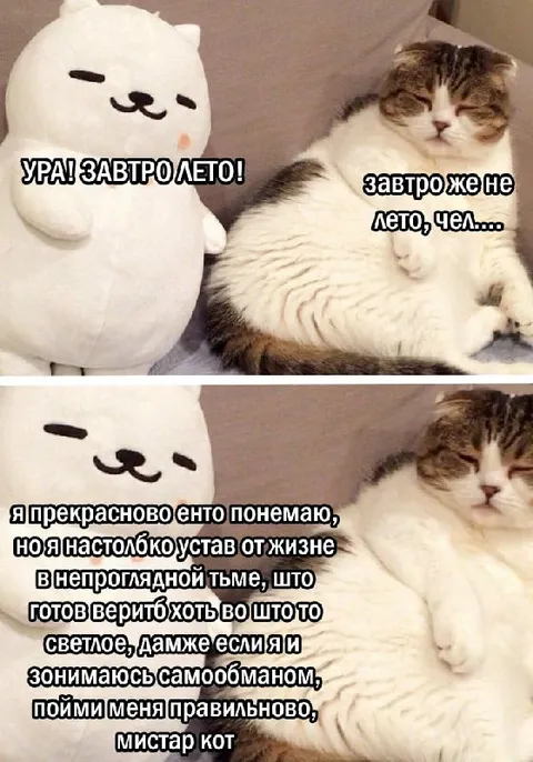 Ура, завтра лето