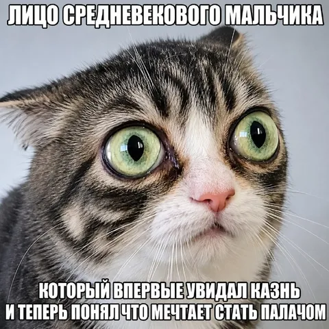 Лицо средневекового мальчика