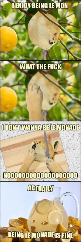 I Enjoy Being Le Mon