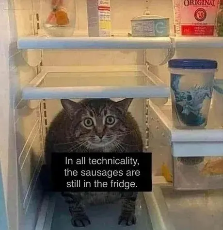 Cat Hiding in the Fridge