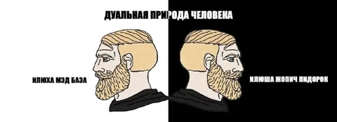Дуальная природа человека