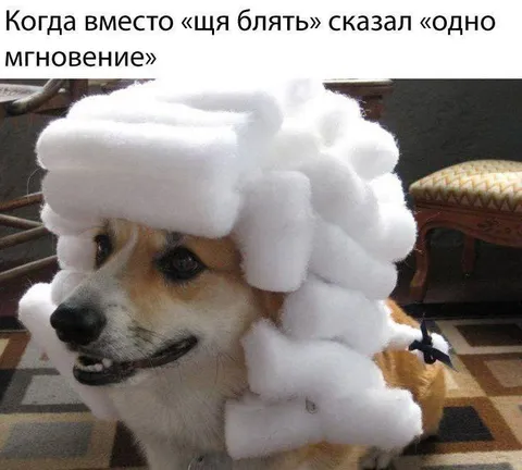 Когда сказал «одно мгновение»