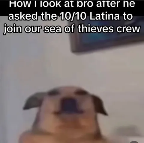 Blurry Dog Joins the Crew