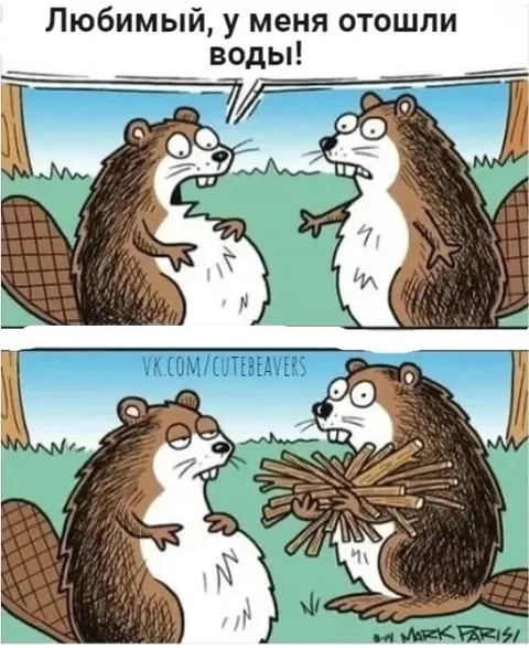 У меня отошли воды