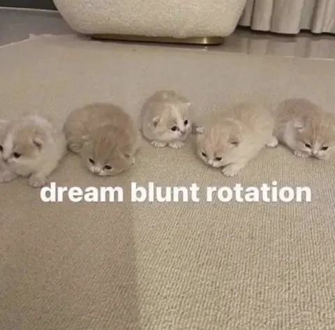 Dream Blunt Rotation