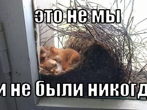 Это не мы и не были никогда